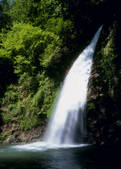tkf003_534573