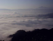 tkf003_534576