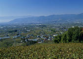 tkf003_534623