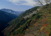 tkf003_534660