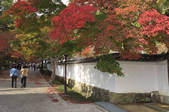 tkf003_534809