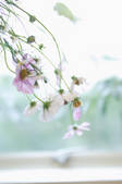 tkf003_536280