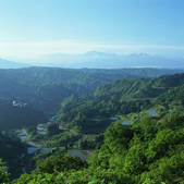 tkf003_537702