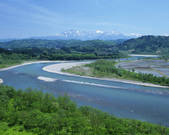 tkf003_537703