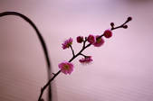 tkf003_538044