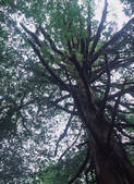 tkf003_539900