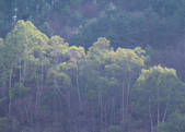 tkf003_540071