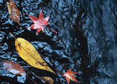 tkf003_540113
