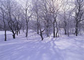 tkf003_540118