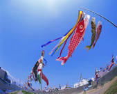 tkf003_540149