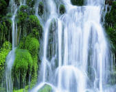 tkf003_540158