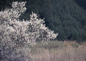 tkf003_541189