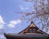 tkf003_541218