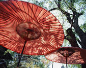 tkf003_541229