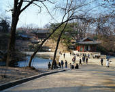 tkf003_542128
