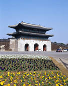 tkf003_542129
