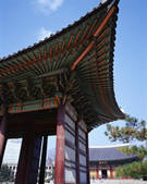 tkf003_542142