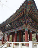 tkf003_542146