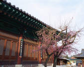 tkf003_542158