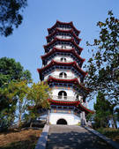 tkf003_542237