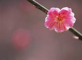 tkf003_544235