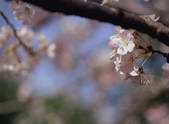 tkf003_544242