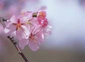 tkf003_544247