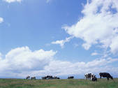 tkf003_544334