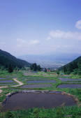 tkf003_544483