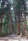 tkf003_544489