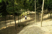 tkf003_545994