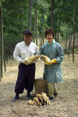 tkf003_546005