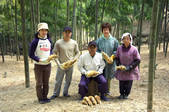 tkf003_546006