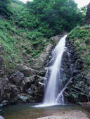 tkf003_546210