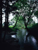 tkf003_546240