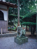 tkf003_546241