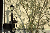 tkf003_546329