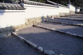 tkf003_546478