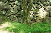 tkf003_546496