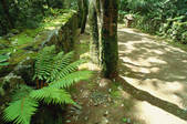 tkf003_546497