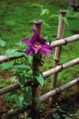 tkf003_546553