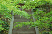 tkf003_546615