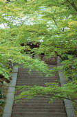 tkf003_546616