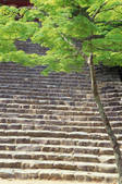 tkf003_546624