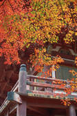 tkf003_546625