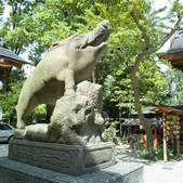 tkf003_547446