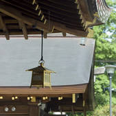 tkf003_547448