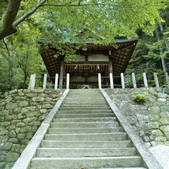 tkf003_547528