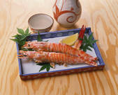 tkf003_550722