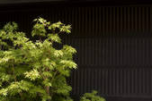 tkf003_551031